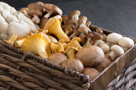 Marvelous Mushrooms Image